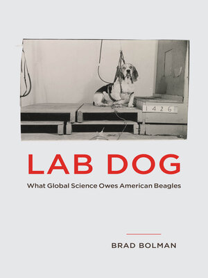 cover image of Lab Dog